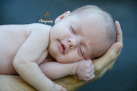 Newborn